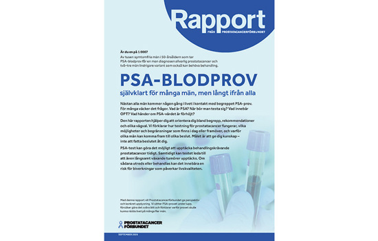 Rapport_2026.jpg